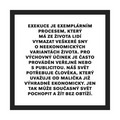 Výběr z citátů