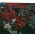 Martin Kačmar, Jiří Sádlo, Visualization of forest maps