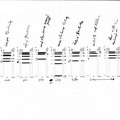 Jan Novák - Jiří Sádlo, Diagram of the carbon content