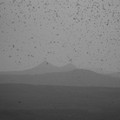 Petr Pokorný, Mosquitos - diptych 1