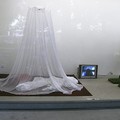 Darina Alster, Synchrolove, Pavillon am Milchhof