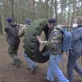 Transport