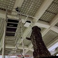 Instalace sochy "Otec" Víta Soukupa v Divusu.