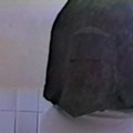Z filmu Inženýr Vančo (1995)