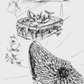 Mark Ferelli, preparatory drawing