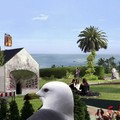 Ulu Braun (Germany), Atlantic Garden, video, 6:27, 16:9, 2010