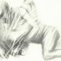 Iulia Toma, ArtLeaks Bestiary, 2014