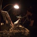 Rekvizita a Trilogie (divadelní představení v Národní galerii Perly | theatre perfoermance at Perla's National Gallery)