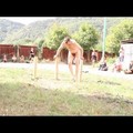 F.N.A.F. II.: Martin Zet from Czechia at Festival of Naked Forms