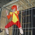 I. TYRANY. First Show.
