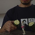 II. REVOLUTION. Gherkin Season.