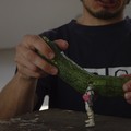 II. REVOLUTION. Gherkin Season.