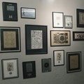 The Show