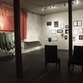 The Show