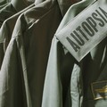 The Show