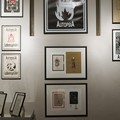 The Show