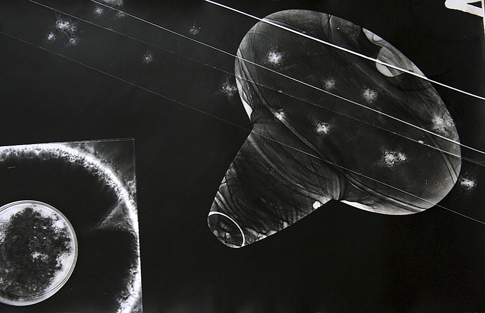 I AM FISHEAD | movie & exhibition