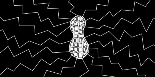 PEANUT GALLERY | a videoart night