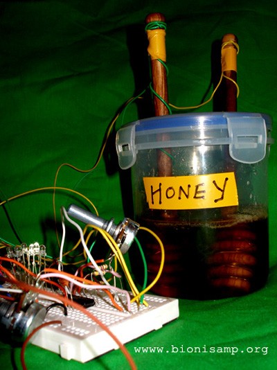 Bioni Samp: SYNTÉZA VČELÍHO ROJE | HIVE SYNTHESIS