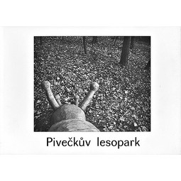 Zapletalová Veronika: Pivečkův lesopark