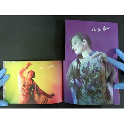 Catherine Ringer et Les Frères Guedin: PUNK 103 (le dernier cri)