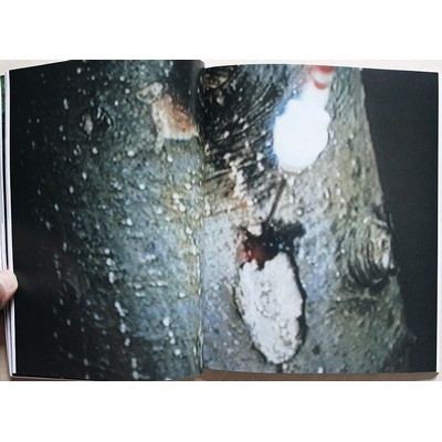 Martin Zet: Performance for Myself