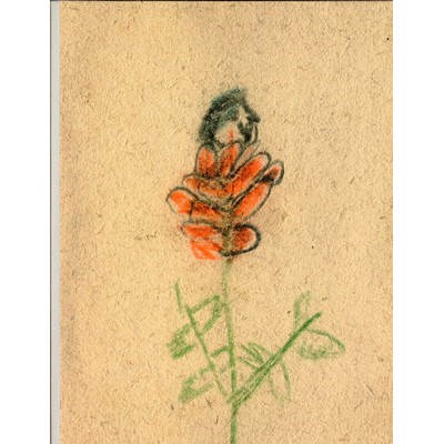 Martin Zet: A Flower Bloomed From The Rose