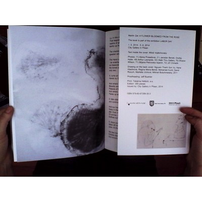 Martin Zet: A Flower Bloomed From The Rose