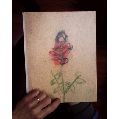 Martin Zet: A Flower Bloomed From The Rose