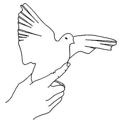 DIVUS 3
