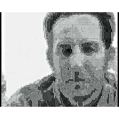 Spunk Seipel: Stars from Videopalace