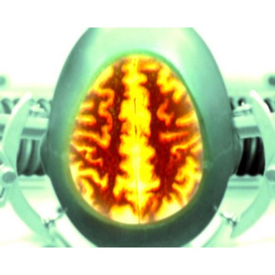 Jan Zajíček + Divus: Operation INOUT