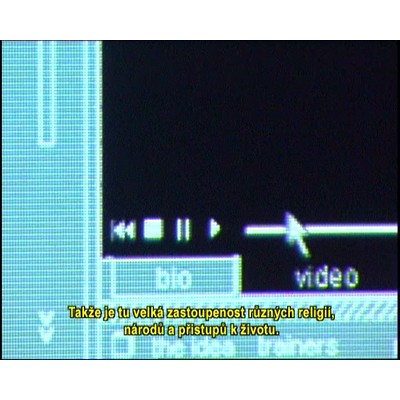 Jan Zajíček + Divus: Operation INOUT