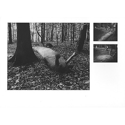 Zapletalová Veronika: Pivečkův lesopark