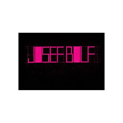 Josef Bolf: big black book