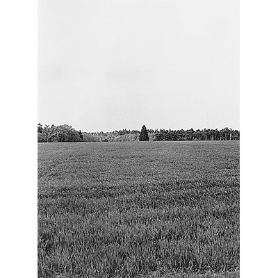 Lukáš Jasanský, Martin Polák: Country Photography