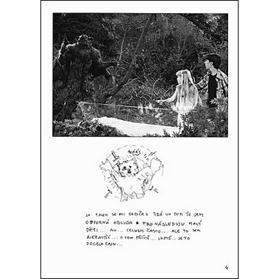 Josef Bolf: I Would Like to Collect Pieces of Your Heart When Someday it Bursts for Someone