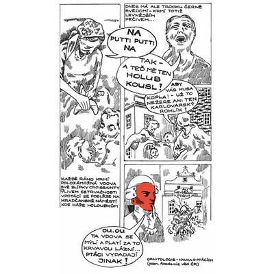 S.d.Ch.: Red Amadeus or The Life of Baroque Superman