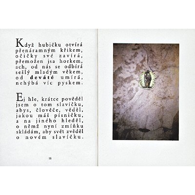 Páter Bedřich Bridel: Slavíček vánoční (Little Chrismas Nightingale)