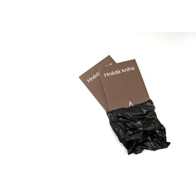 Jan Turner, Aleš Havlíček: The Brown Book