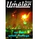 Umělec 1999/4