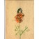 Martin Zet: A Flower Bloomed From The Rose